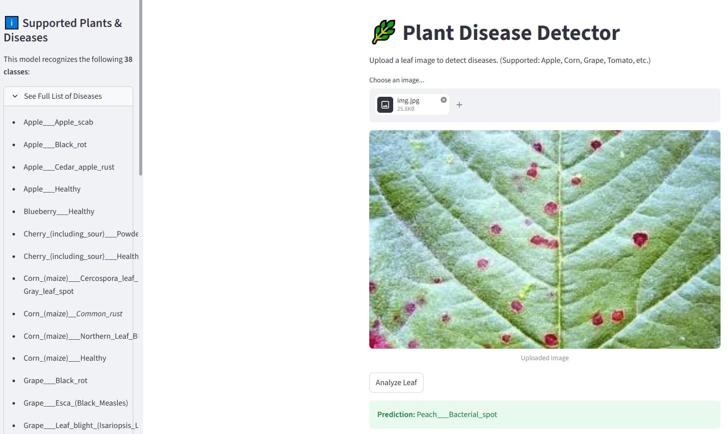 Plant Disease Detector